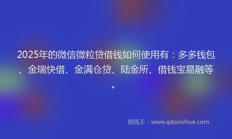 2025年的微信微粒贷借钱如何使用有：多多钱包、金瑞快借、金满仓贷、陆金所、借钱宝易融等。