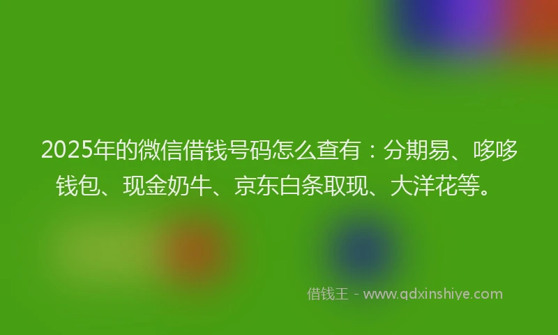 2025年的微信借钱号码怎么查有：分期易、哆哆钱包、现金奶牛、京东白条取现、大洋花等。