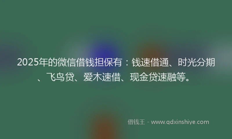 2025年的微信借钱担保有：钱速借通、时光分期、飞鸟贷、爱木速借、现金贷速融等。