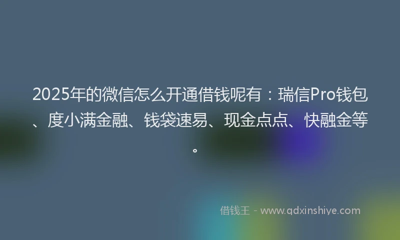 2025年的微信怎么开通借钱呢有：瑞信Pro钱包、度小满金融、钱袋速易、现金点点、快融金等。