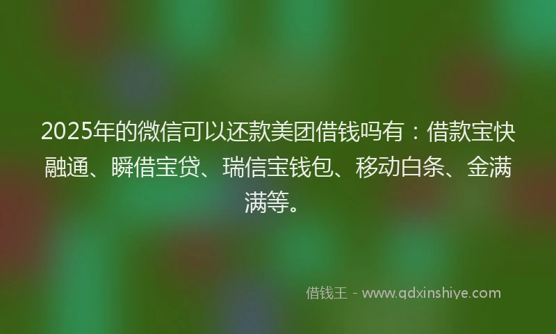2025年的微信可以还款美团借钱吗有：借款宝快融通、瞬借宝贷、瑞信宝钱包、移动白条、金满满等。