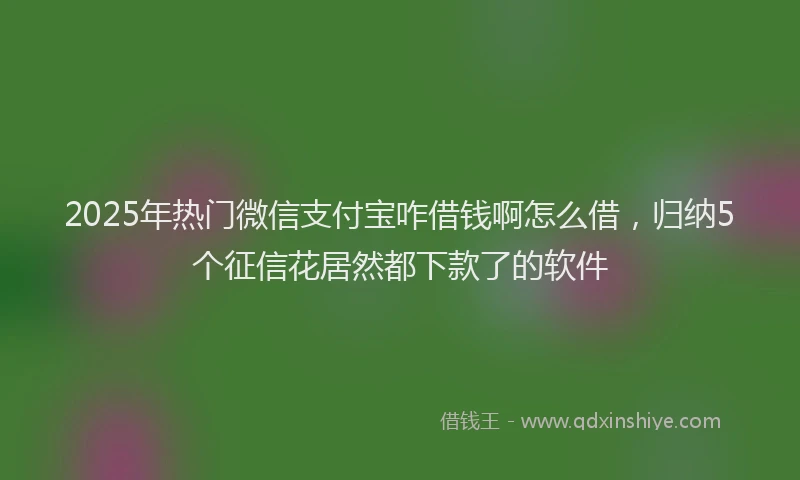 2025年热门微信支付宝咋借钱啊怎么借，归纳5个征信花居然都下款了的软件