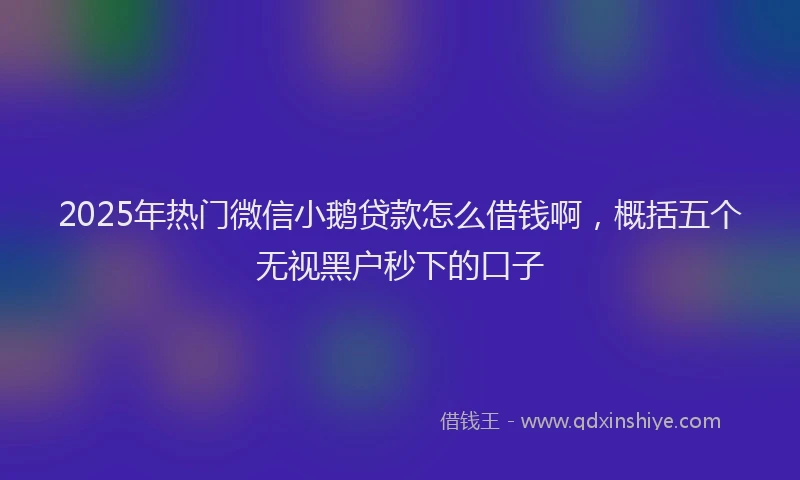 2025年热门微信小鹅贷款怎么借钱啊，概括五个无视黑户秒下的口子