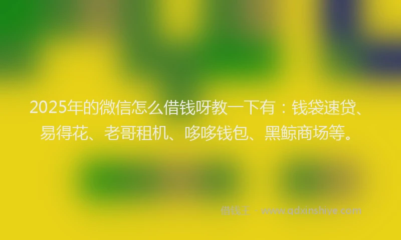 2025年的微信怎么借钱呀教一下有：钱袋速贷、易得花、老哥租机、哆哆钱包、黑鲸商场等。