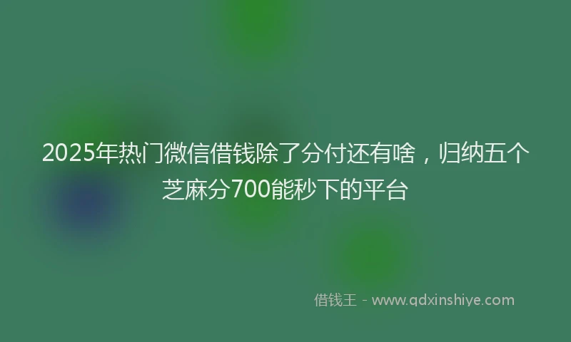 2025年热门微信借钱除了分付还有啥，归纳五个芝麻分700能秒下的平台