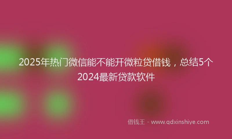 2025年热门微信能不能开微粒贷借钱，总结5个2024最新贷款软件