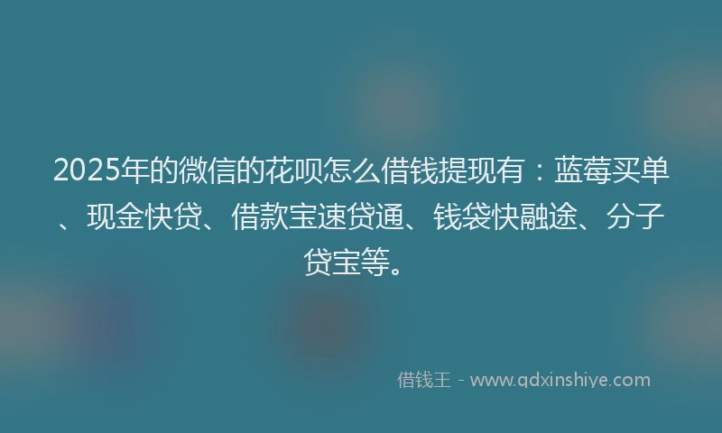 2025年的微信的花呗怎么借钱提现有：蓝莓买单、现金快贷、借款宝速贷通、钱袋快融途、分子贷宝等。