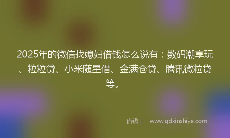 2025年的微信找媳妇借钱怎么说有：数码潮享玩、粒粒贷、小米随星借、金满仓贷、腾讯微粒贷等。