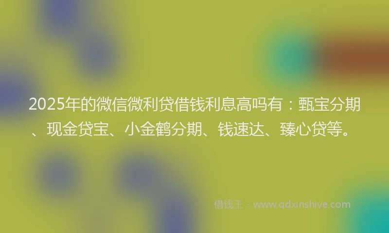 2025年的微信微利贷借钱利息高吗有：甄宝分期、现金贷宝、小金鹤分期、钱速达、臻心贷等。