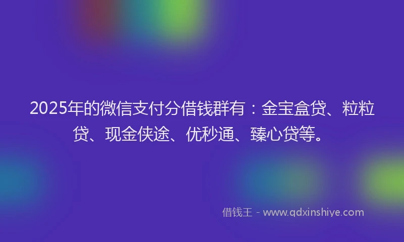 2025年的微信支付分借钱群有：金宝盒贷、粒粒贷、现金侠途、优秒通、臻心贷等。