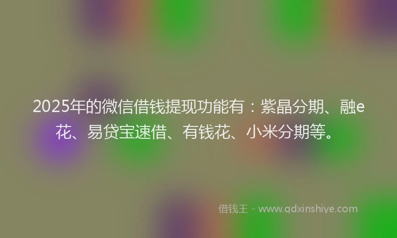 2025年的微信借钱提现功能有：紫晶分期、融e花、易贷宝速借、有钱花、小米分期等。