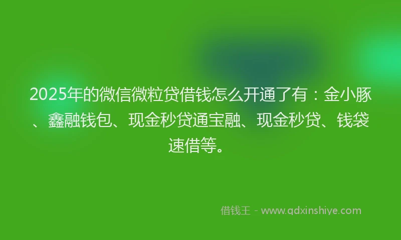 2025年的微信微粒贷借钱怎么开通了有：金小豚、鑫融钱包、现金秒贷通宝融、现金秒贷、钱袋速借等。