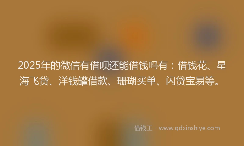 2025年的微信有借呗还能借钱吗有：借钱花、星海飞贷、洋钱罐借款、珊瑚买单、闪贷宝易等。