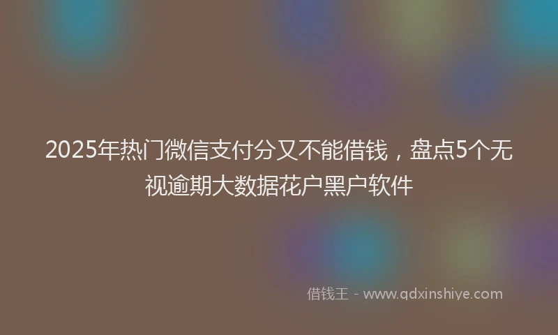 2025年热门微信支付分又不能借钱，盘点5个无视逾期大数据花户黑户软件