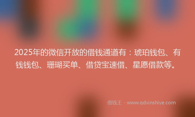 2025年的微信开放的借钱通道有：琥珀钱包、有钱钱包、珊瑚买单、借贷宝速借、星愿借款等。