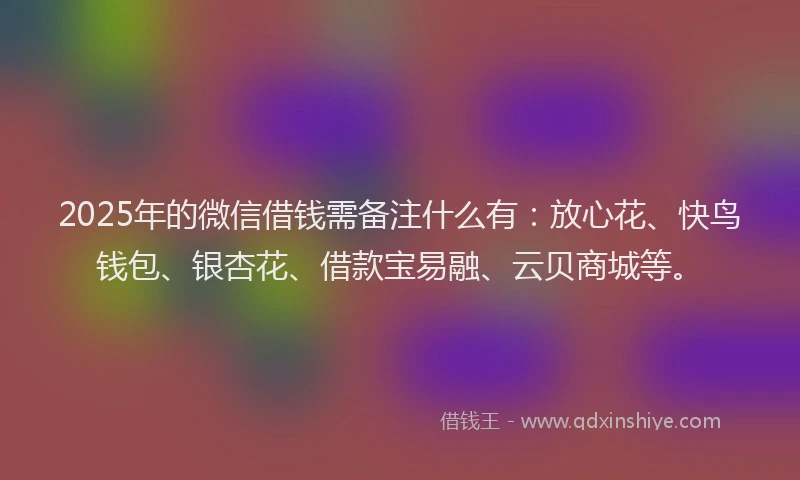2025年的微信借钱需备注什么有：放心花、快鸟钱包、银杏花、借款宝易融、云贝商城等。