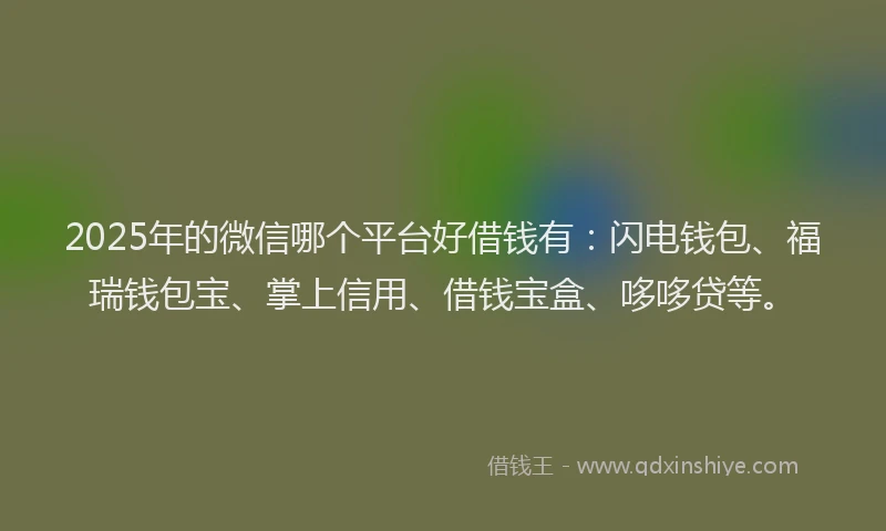 2025年的微信哪个平台好借钱有：闪电钱包、福瑞钱包宝、掌上信用、借钱宝盒、哆哆贷等。