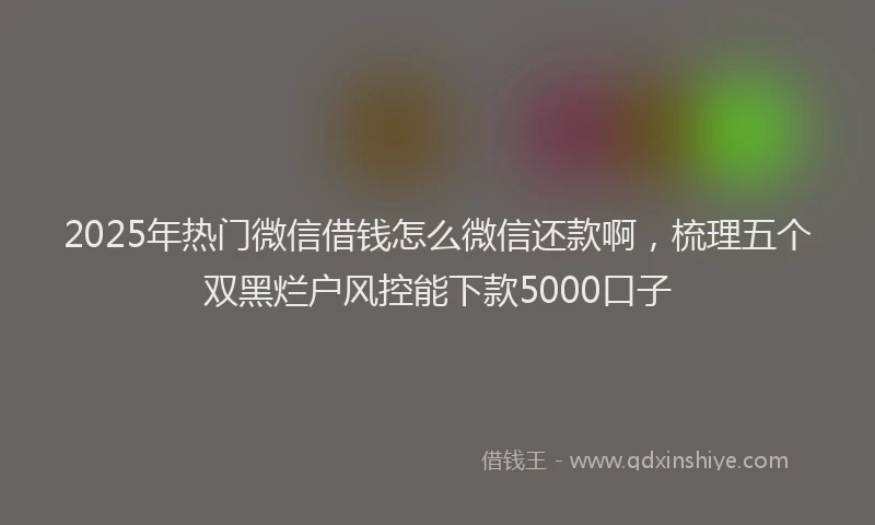 2025年热门微信借钱怎么微信还款啊，梳理五个双黑烂户风控能下款5000口子