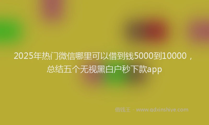 2025年热门微信哪里可以借到钱5000到10000，总结五个无视黑白户秒下款app