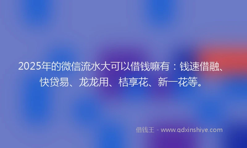 2025年的微信流水大可以借钱嘛有：钱速借融、快贷易、龙龙用、桔享花、新一花等。
