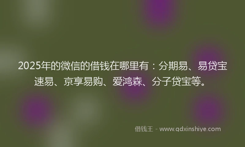 2025年的微信的借钱在哪里有：分期易、易贷宝速易、京享易购、爱鸿森、分子贷宝等。