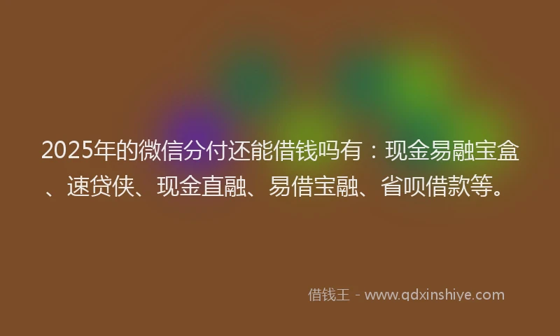 2025年的微信分付还能借钱吗有：现金易融宝盒、速贷侠、现金直融、易借宝融、省呗借款等。