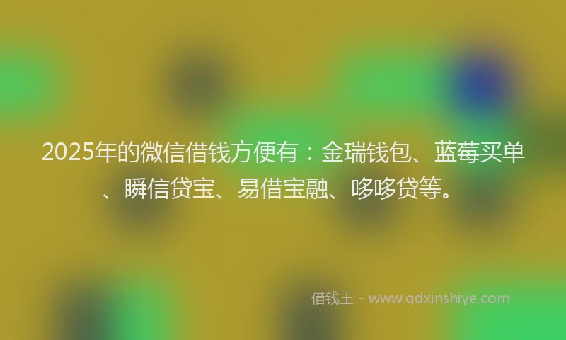 2025年的微信借钱方便有：金瑞钱包、蓝莓买单、瞬信贷宝、易借宝融、哆哆贷等。