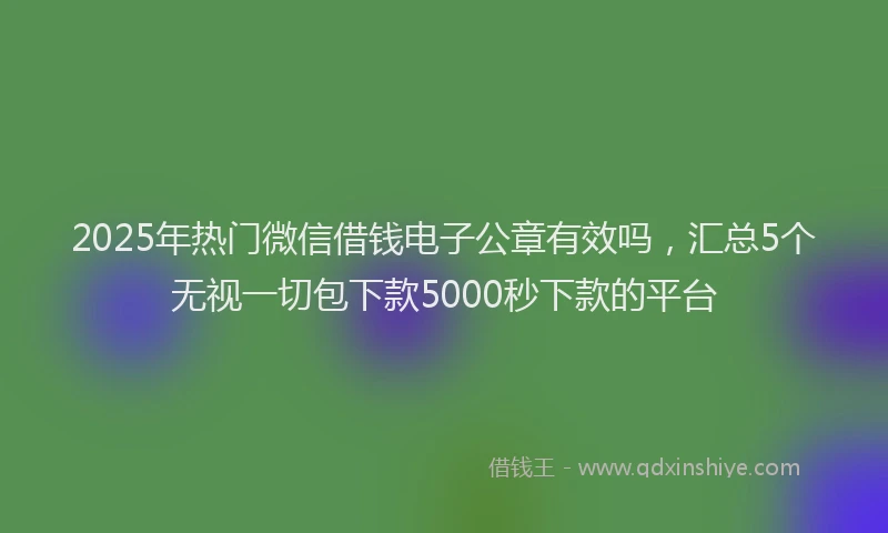 2025年热门微信借钱电子公章有效吗，汇总5个无视一切包下款5000秒下款的平台