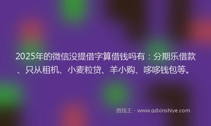 2025年的微信没提借字算借钱吗有：分期乐借款、只从租机、小麦粒贷、羊小购、哆哆钱包等。