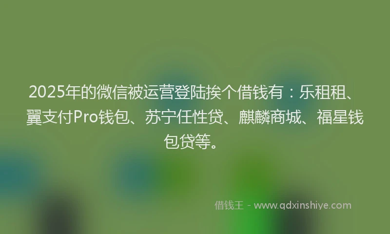 2025年的微信被运营登陆挨个借钱有：乐租租、翼支付Pro钱包、苏宁任性贷、麒麟商城、福星钱包贷等。