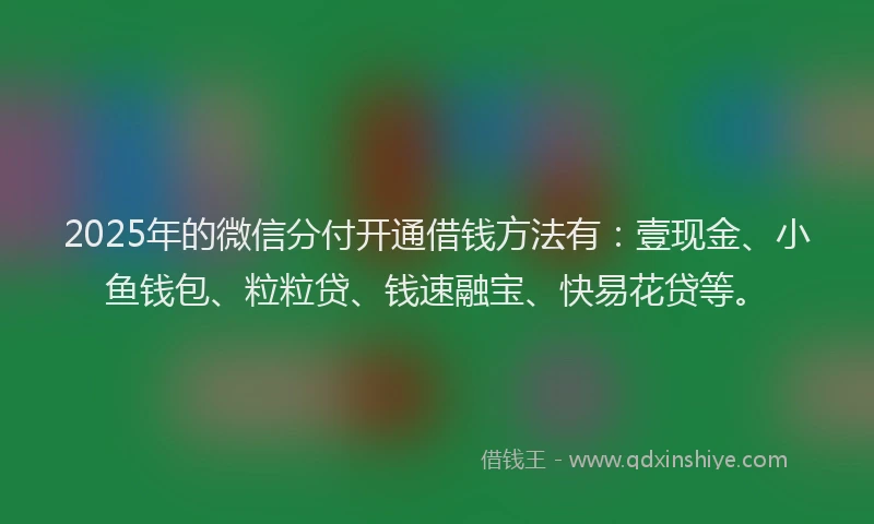 2025年的微信分付开通借钱方法有：壹现金、小鱼钱包、粒粒贷、钱速融宝、快易花贷等。