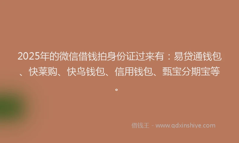 2025年的微信借钱拍身份证过来有：易贷通钱包、快莱购、快鸟钱包、信用钱包、甄宝分期宝等。