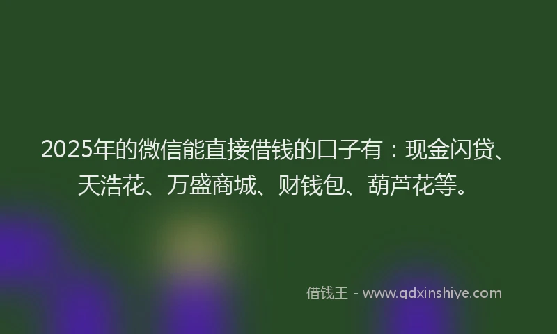 2025年的微信能直接借钱的口子有：现金闪贷、天浩花、万盛商城、财钱包、葫芦花等。