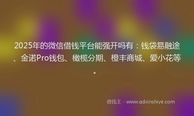 2025年的微信借钱平台能强开吗有：钱袋易融途、金诺Pro钱包、橄榄分期、橙丰商城、爱小花等。
