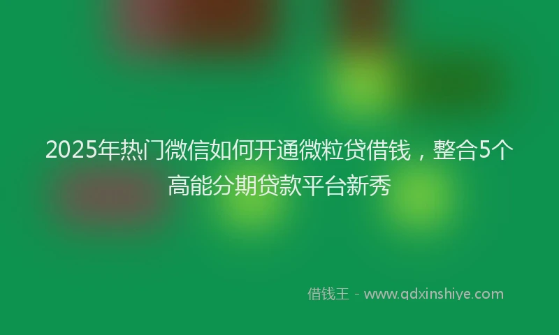 2025年热门微信如何开通微粒贷借钱，整合5个高能分期贷款平台新秀
