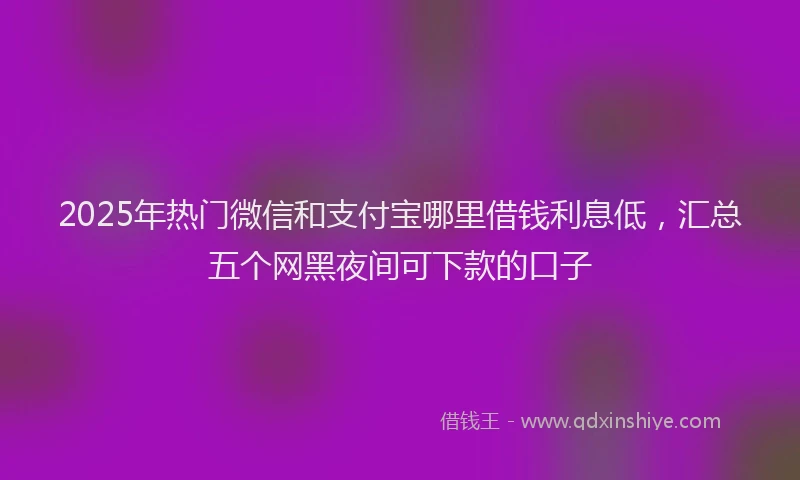 2025年热门微信和支付宝哪里借钱利息低，汇总五个网黑夜间可下款的口子