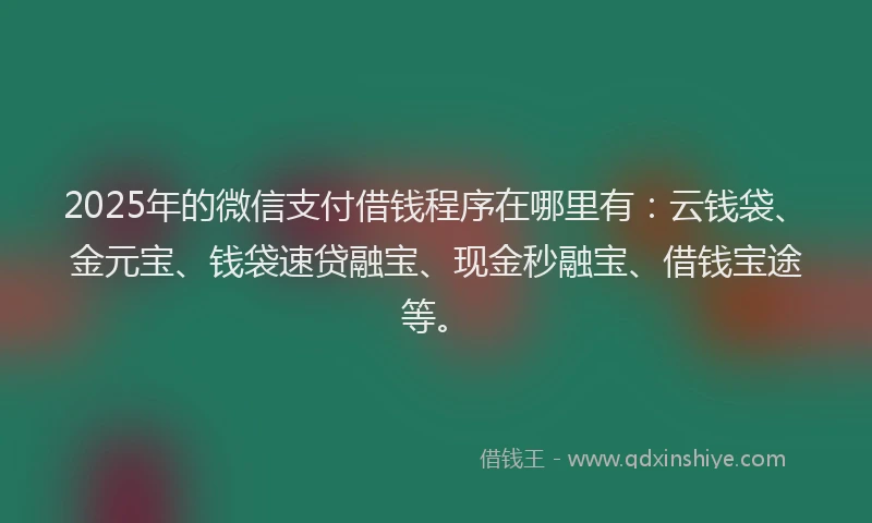 2025年的微信支付借钱程序在哪里有：云钱袋、金元宝、钱袋速贷融宝、现金秒融宝、借钱宝途等。