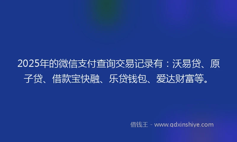 2025年的微信支付查询交易记录有：沃易贷、原子贷、借款宝快融、乐贷钱包、爱达财富等。