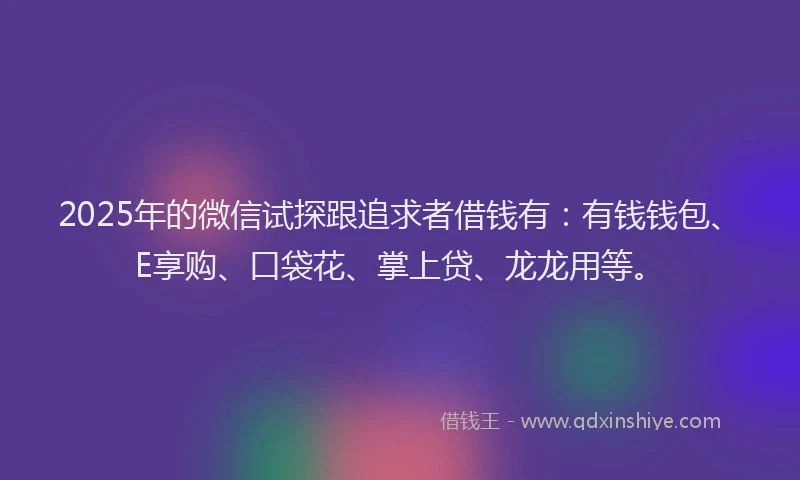 2025年的微信试探跟追求者借钱有：有钱钱包、E享购、口袋花、掌上贷、龙龙用等。