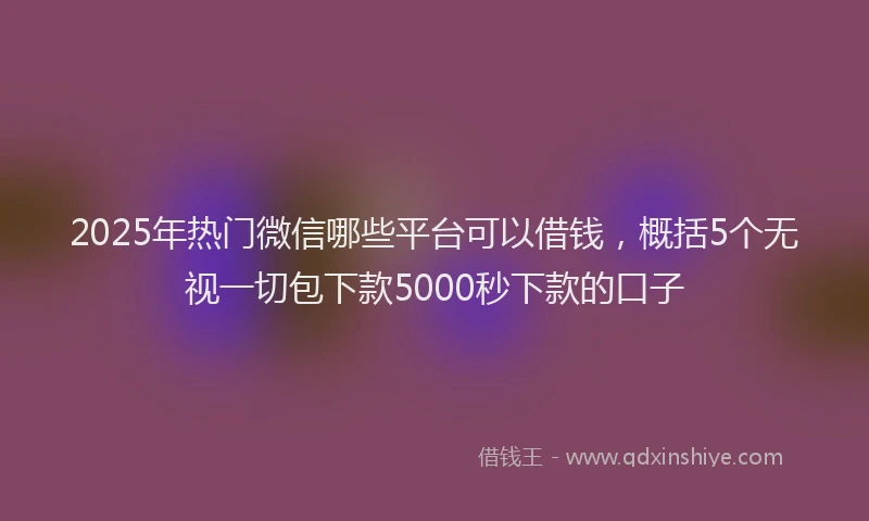 2025年热门微信哪些平台可以借钱，概括5个无视一切包下款5000秒下款的口子