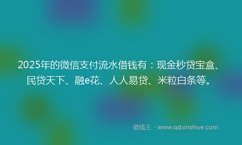2025年的微信支付流水借钱有：现金秒贷宝盒、民贷天下、融e花、人人易贷、米粒白条等。