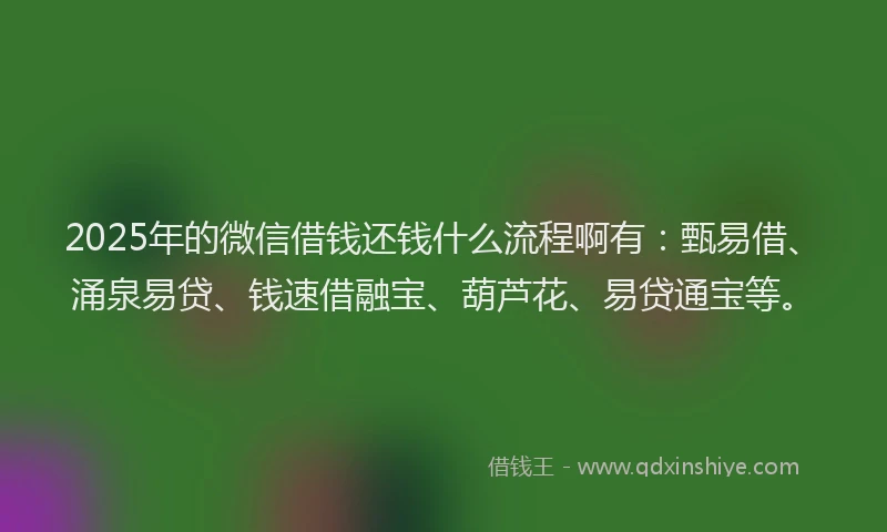 2025年的微信借钱还钱什么流程啊有：甄易借、涌泉易贷、钱速借融宝、葫芦花、易贷通宝等。
