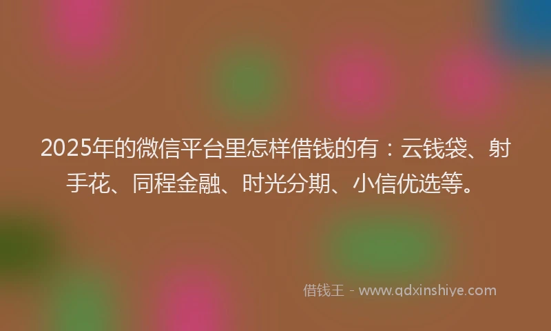 2025年的微信平台里怎样借钱的有：云钱袋、射手花、同程金融、时光分期、小信优选等。