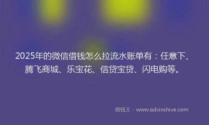 2025年的微信借钱怎么拉流水账单有：任意下、腾飞商城、乐宝花、信贷宝贷、闪电购等。