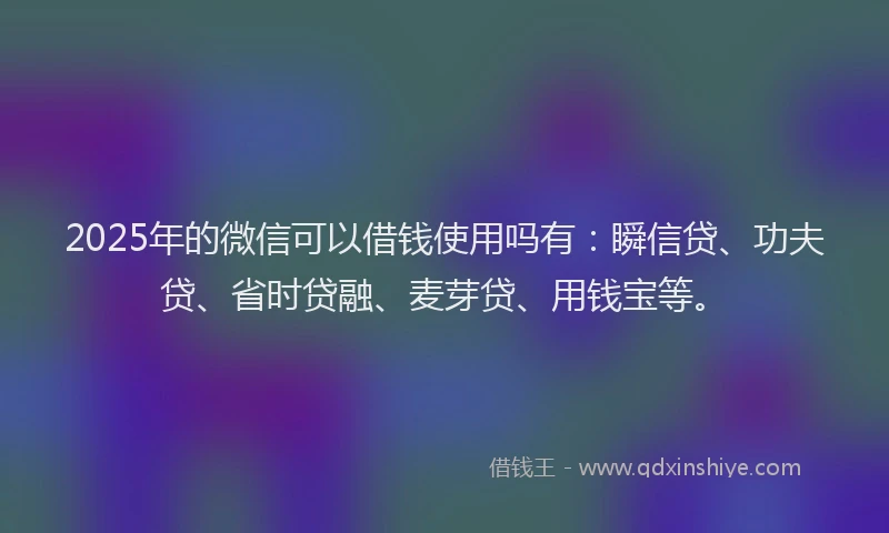 2025年的微信可以借钱使用吗有：瞬信贷、功夫贷、省时贷融、麦芽贷、用钱宝等。
