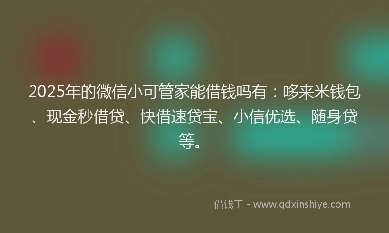 2025年的微信小可管家能借钱吗有：哆来米钱包、现金秒借贷、快借速贷宝、小信优选、随身贷等。