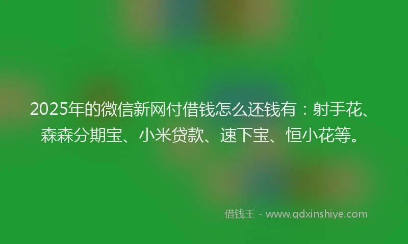 2025年的微信新网付借钱怎么还钱有：射手花、森森分期宝、小米贷款、速下宝、恒小花等。
