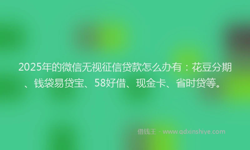 2025年的微信无视征信贷款怎么办有：花豆分期、钱袋易贷宝、58好借、现金卡、省时贷等。
