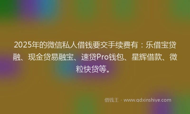 2025年的微信私人借钱要交手续费有：乐借宝贷融、现金贷易融宝、速贷Pro钱包、星辉借款、微粒快贷等。