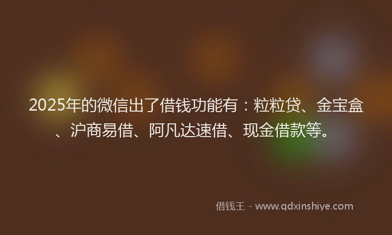 2025年的微信出了借钱功能有：粒粒贷、金宝盒、沪商易借、阿凡达速借、现金借款等。